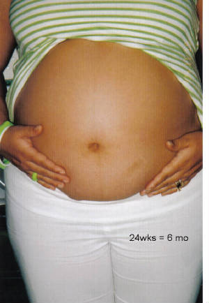 24wk-front-belly.jpg