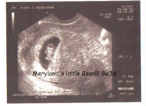 bean-8w3d.jpg