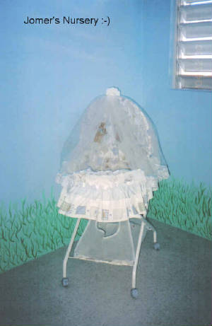 jomer-nursery.jpg