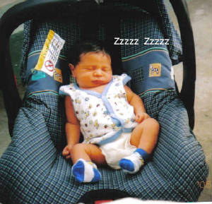 jomer-sleeping.jpg